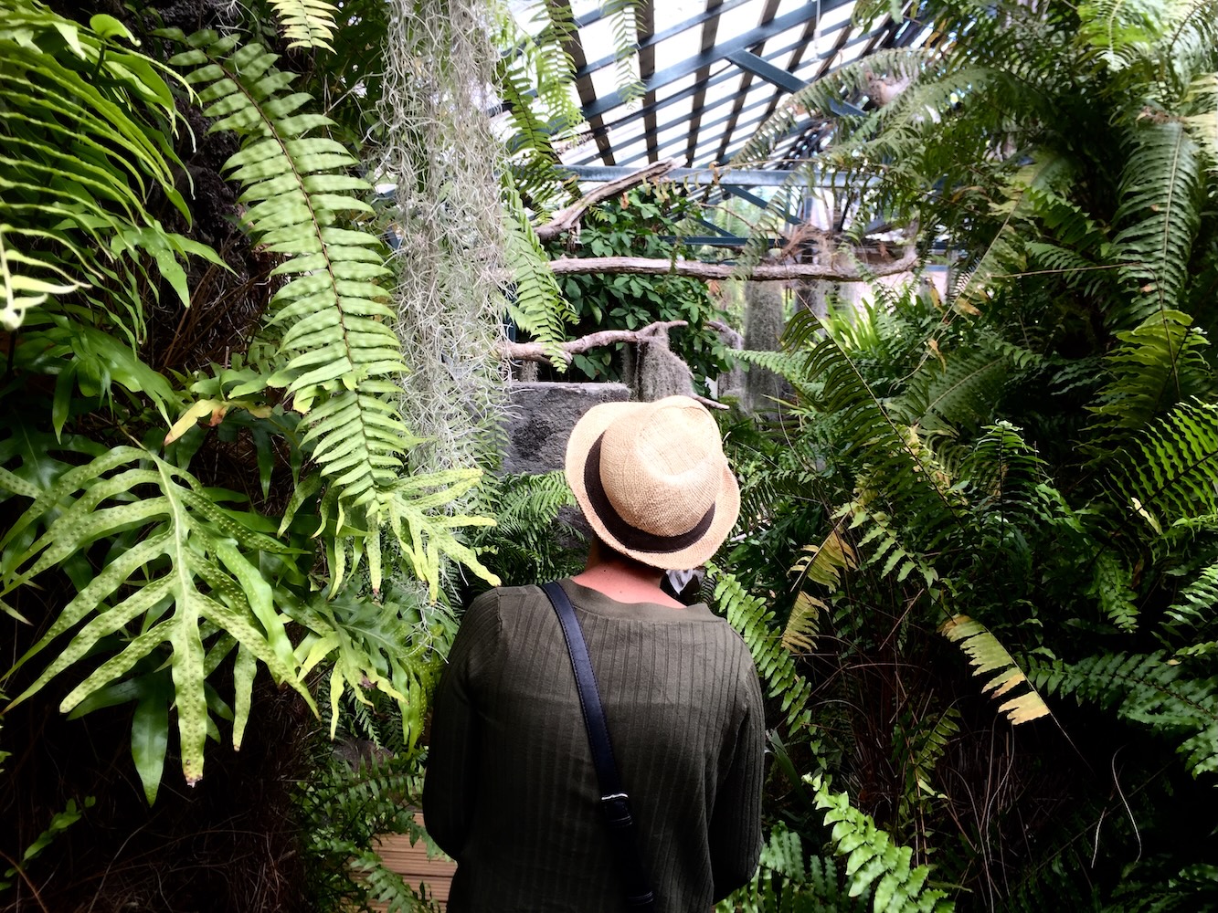 Jardin Botanique Mascarin, île de La Réunion