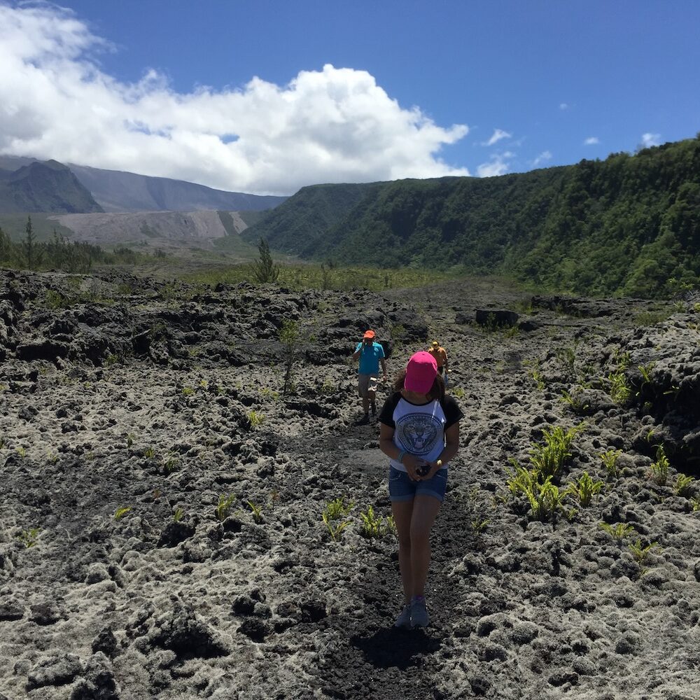 Découvrir le Sud Sauvage et l'île de La Réunion avec un guide
