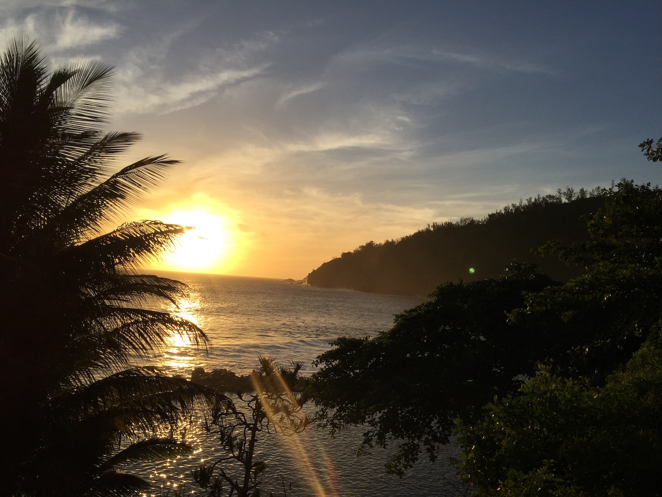 Découvrir le Sud Sauvage et l'île de La Réunion avec un guide
