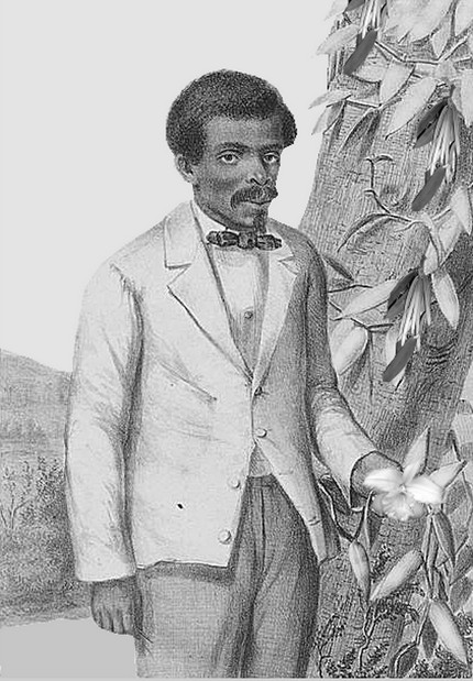 Edmond Albius, l'inventeur du procédé de fécondation de la vanille