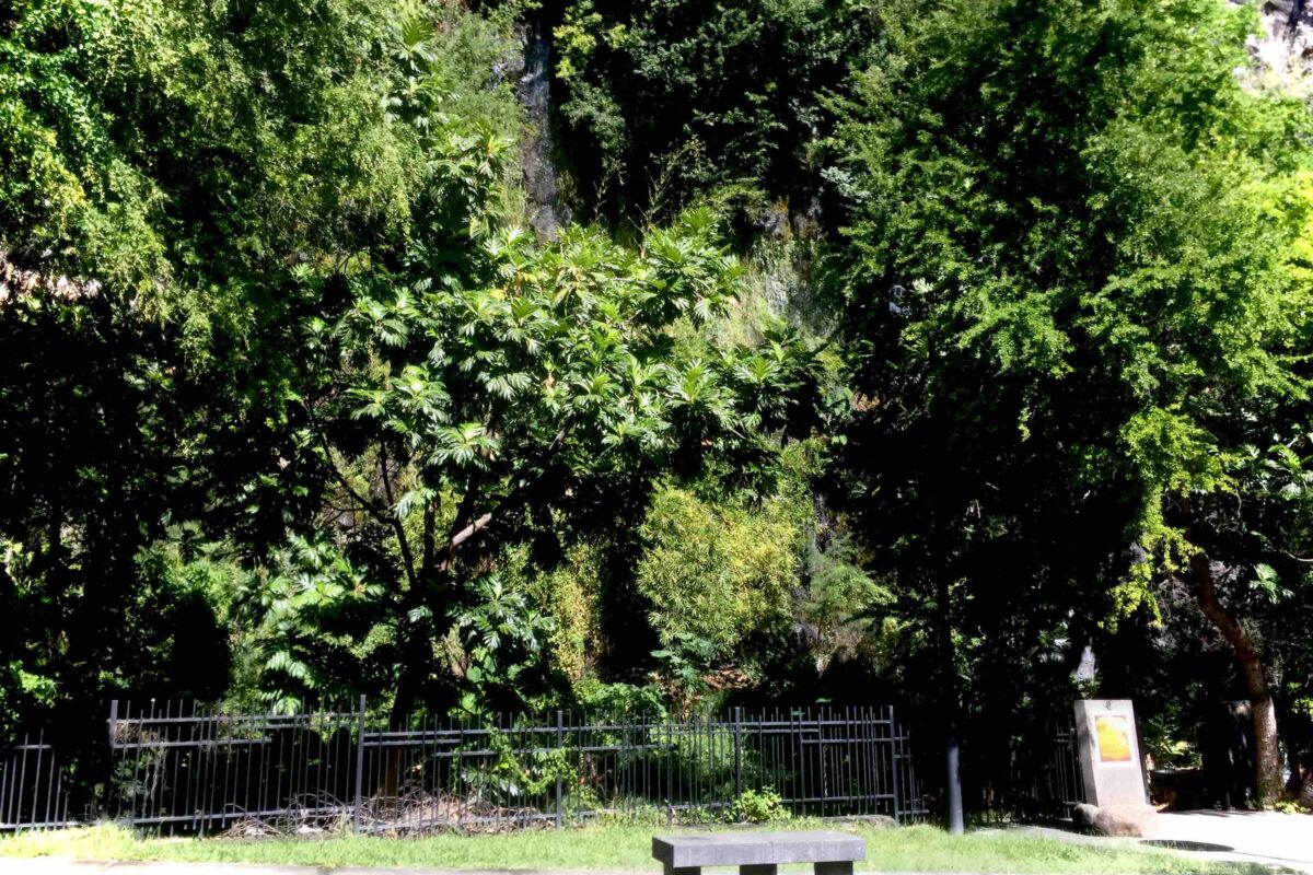 La grotte du peuplement de Saint-Paul, île de La Réunion