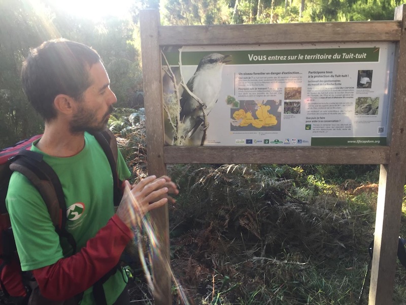 Randonnée à la Roche-Ecrite avec un guide de l'île de La Réunion