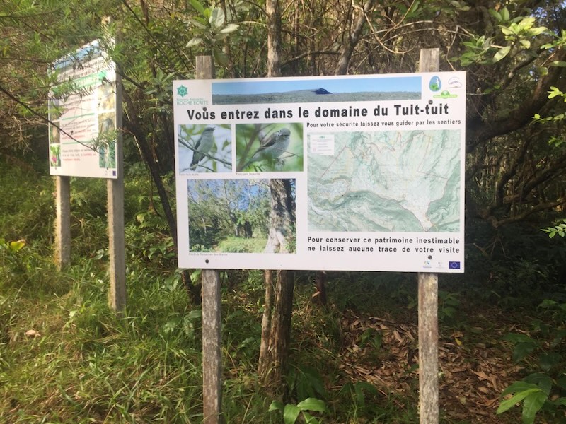 Randonnée à la Roche-Ecrite avec un guide de l'île de La Réunion