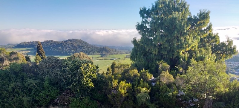 Visite guidée du village de Bourg-Murat avec la guide Wendy, île de La Réunion
